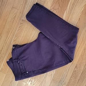 Loft Plum Skinny jeans